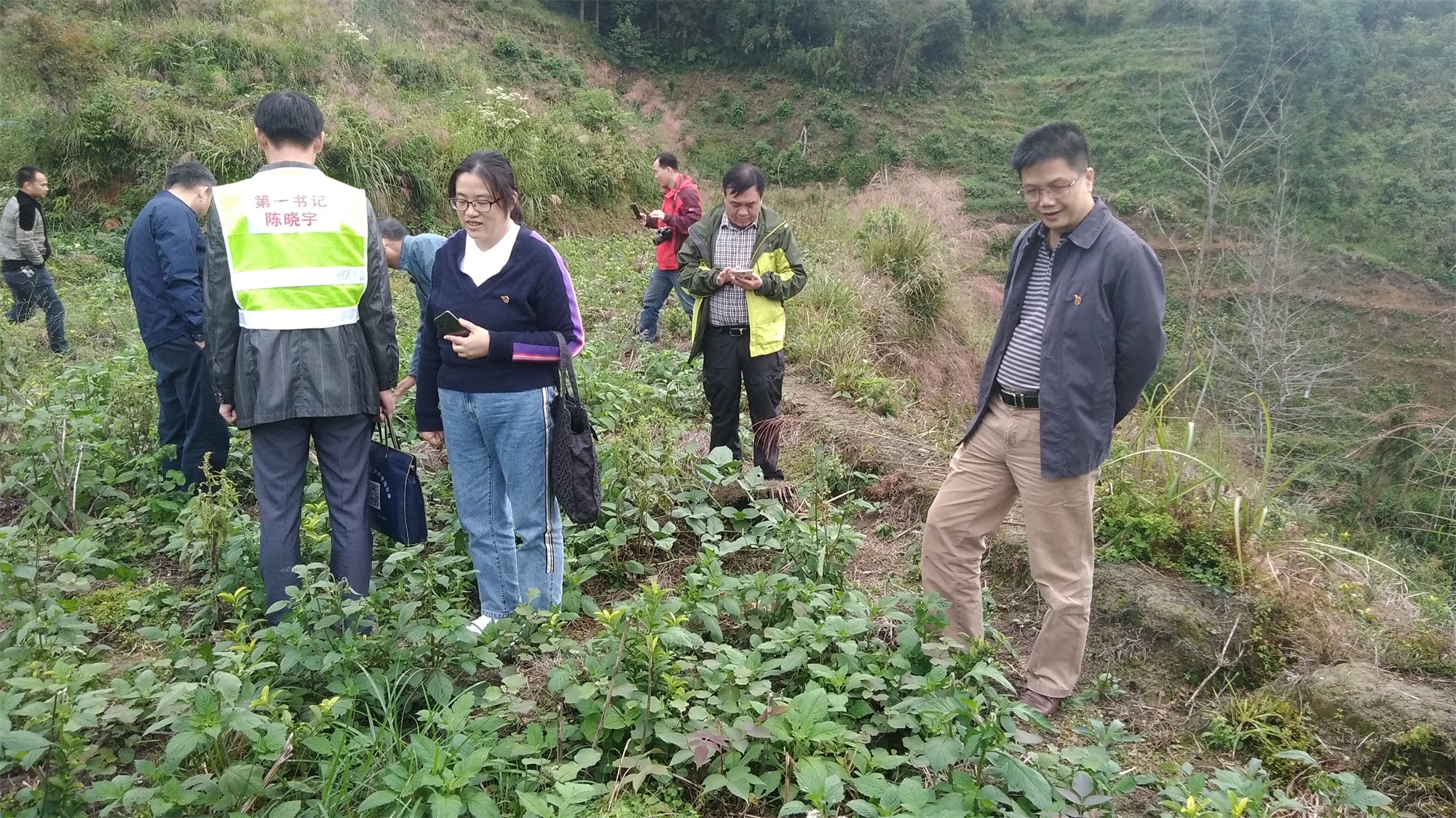 (一)44.jpg (一)44.jpg