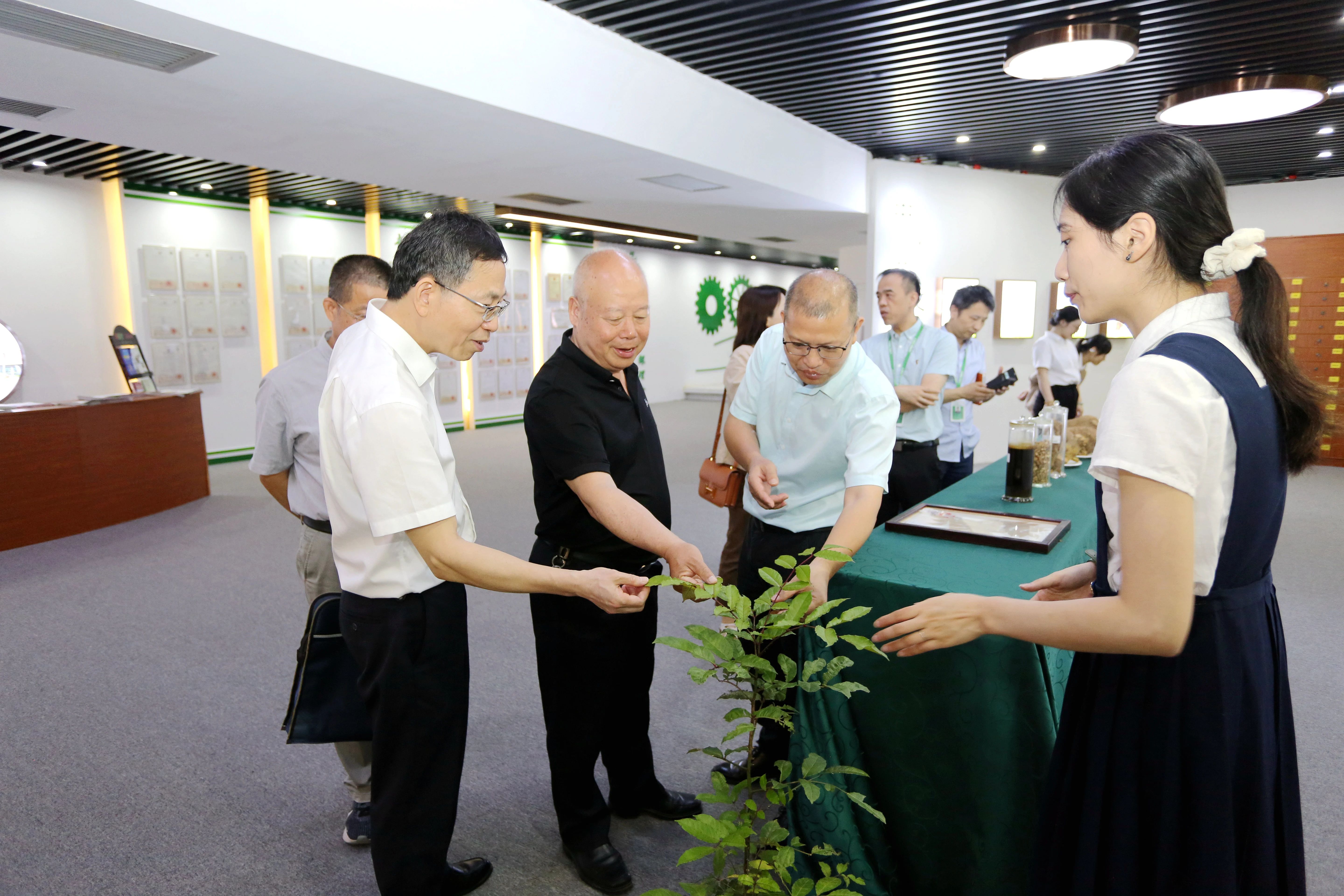 812cc27e4f756a5deeb33dc19a3c8404.jpg 812cc27e4f756a5deeb33dc19a3c8404.jpg